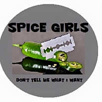 Spice Girls logo